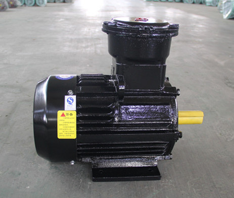 Dust permanent magnet explosion - proof motor